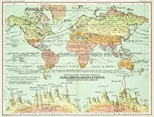 Images Dated 15th June 2015: Agricultural Map of the world 1861
