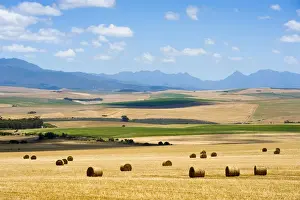 Harvesting Prints: Agriculture, Bale, Cloud, Crop, Dry, Farm, Field, Harvesting, Hay, Haystack, Landscape