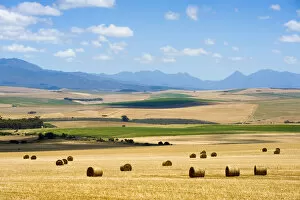 Crop Gallery: Agriculture, Bale, Cloud, Crop, Dry, Farm, Field, Harvesting, Hay, Haystack, Landscape