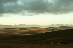 Corn Prints: agriculture, cloud, color image, colour image, corn, dawn, day, daylight, daytime