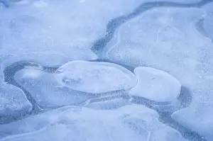 Air bubbles in ice
