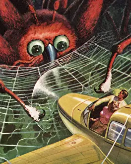 Scary Prints: Airplane Landing in a Giant Spiderweb