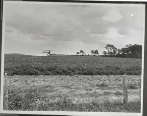 Airplane Spraying Crops