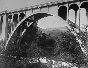 Pasadena Prints: Airplane Stunt
