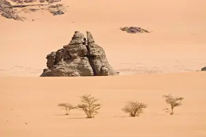 Fell Prints: Akakus Mountains, Libyan Desert, Libya, Sahara, North Africa, Africa