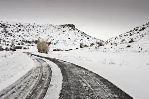 Aksaray (Cappadocia) Turkey