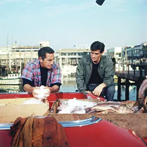 Harbour Prints: Alain Delon In San Francisco