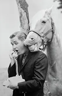 Telephoning Prints: Alan Young with Mister Ed Talking on Telephone