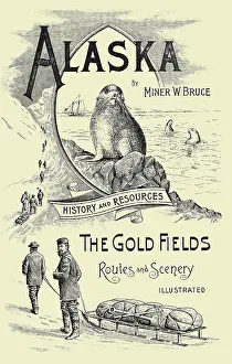 Alaska Prints: Alaska; The Gold Fields