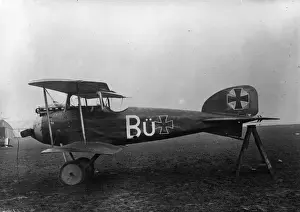 I German Prints: Albatross D1