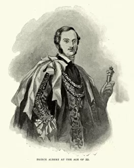 Prince Albert (1819-1861), The Royal Consort Gallery: Albert, Prince Consort at the age of 22