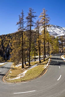 Mountain Road Collection: Albula pass road, autumn, Engadin, Canton of Graubunden, Switzerland