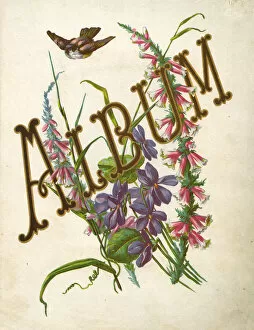 Album from 1870