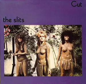 4 2 18 Donaldson Prints: Album Cover for The Slits Cut