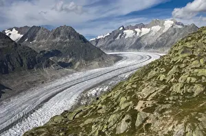Western Alps Prints: Aletsch Glacier, Southern Bernese Alps, Canton of Valais, Switzerland