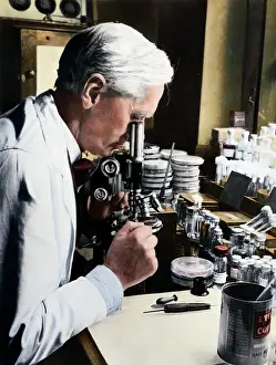 Laboratory Prints: Alexander Fleming at Microscope