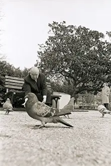 Pigeon Prints: Alfred Hitchcock Feeding Pigeons