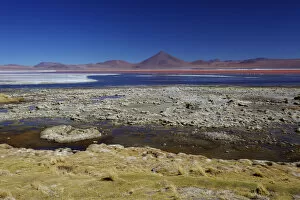 Images Dated 27th October 2009: algae, altiplano, beauty in nature, bolivia, color image, colour image, copy space