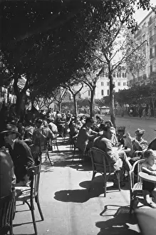Algerian Cafe
