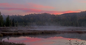 Images Dated 9th October 2013: Algonquin Park