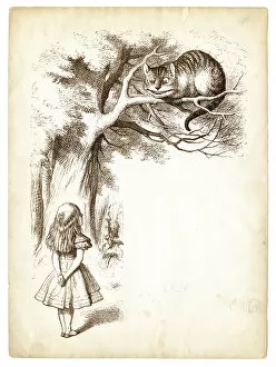 Images Dated 18th June 2016: Alice and the Cheshire cat engraving 1898