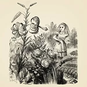 Images Dated 22nd June 2015: Alice and the flowers engraving 1899