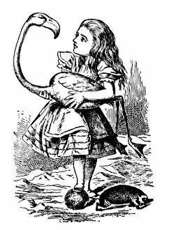Images Dated 1st January 2000: Alice Holding a Bird, Alices Adventures in Wonderland