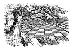 Images Dated 14th January 2014: Alice through the looking glass