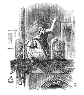 Images Dated 14th January 2014: Alice through the looking glass