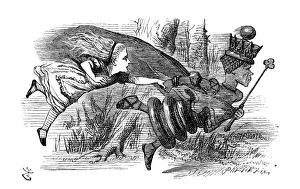 Images Dated 14th January 2014: Alice through the looking glass