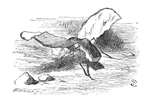 Images Dated 14th January 2014: Alice through the looking glass
