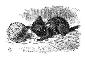 Images Dated 14th January 2014: Alice through the looking glass