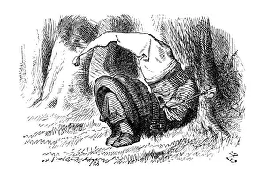 Images Dated 14th January 2014: Alice through the looking glass