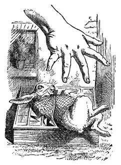 Alice trying to grab the white rabbit - Alice in Wonderland 1897