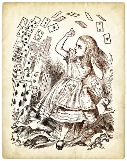 Images Dated 15th January 2015: Alice in Wonderland