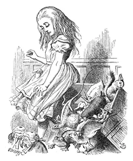 Images Dated 11th January 2014: Alice in Wonderland