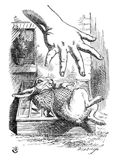 Alice in Wonderland