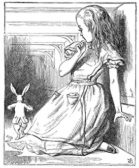 Pawed Mammal Prints: Alice in Wonderland