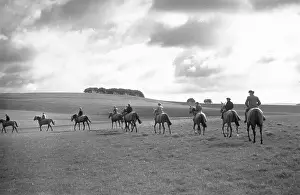 All The King's Horses