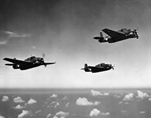 Pacific Gallery: All Purpose Bomber