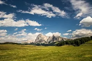 Images Dated 14th July 2015: Alpe Di Siusi (Seiser Alm), Dolomites, Italy