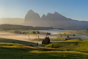 Images Dated 24th June 2016: Alpe Di Siusi (Seiser Alm), Dolomites, Italy