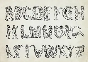 The Alphabets