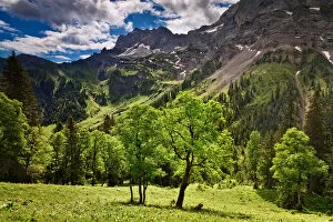 Images Dated 4th June 2011: Alpine Light - GroA┬ƒer Ahornboden