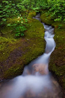 Images Dated 19th August 2011: Alpine Stream, a time lapse effect, Jasper National Park, Alberta, Canada