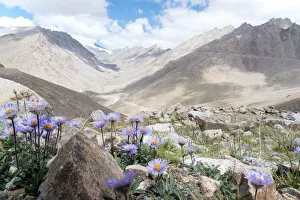 Images Dated 20th July 2016: altitude, background, high, himalaya, himalayan, indian, jammu, kashmir, ladakh, leh