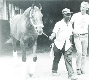 Alydar Leaving Belmont Park