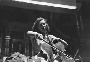 Amaryllis Fleming