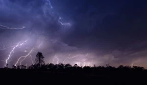 Images Dated 23rd December 2008: Amazing Thunderstorm Display with Multiple Lightning Strikes, Magaliesburg, Gauteng Province