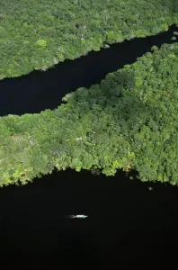 Paddleboat Prints: Amazon Aerial